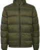 Outerwear - Forest Night